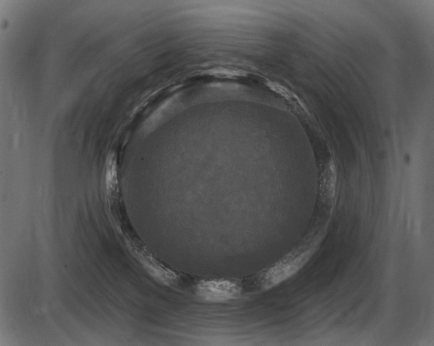 X0000087630137200705031455