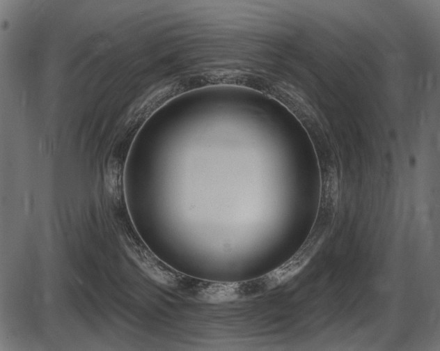 X0000087630138200705031455