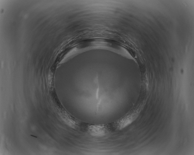 X0000087630139200705031455