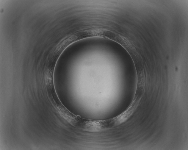 X0000087630140200705031455