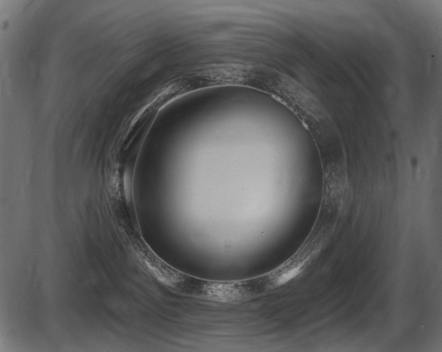 X0000087630141200705031455