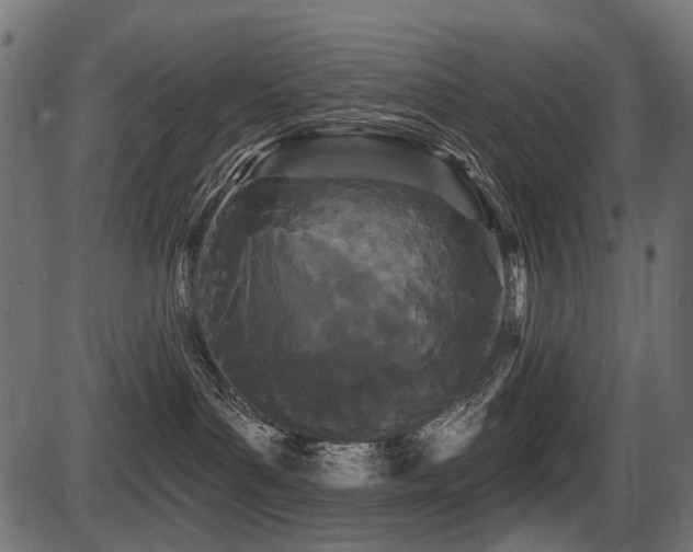 X0000087630143200705031455