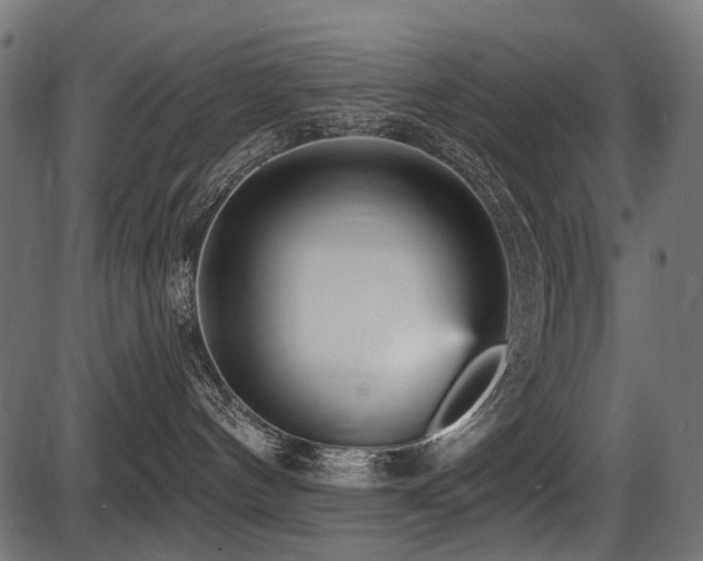 X0000087630144200705031455