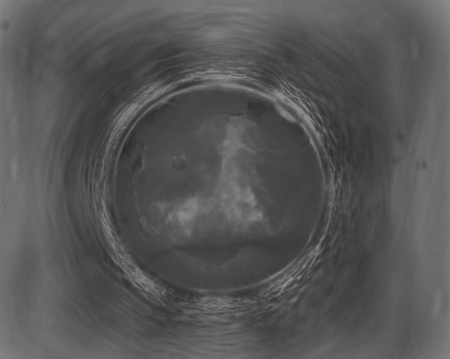 X0000087630145200705031454