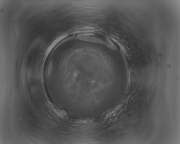 X0000087630147200705031454