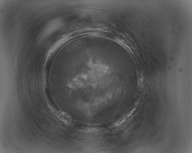 X0000087630149200705031454