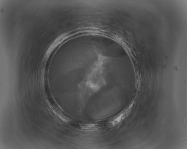 X0000087630151200705031454