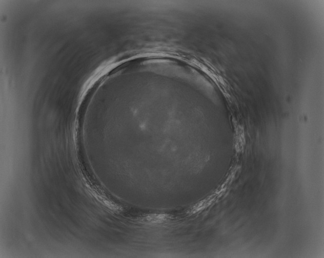 X0000087630152200705031454