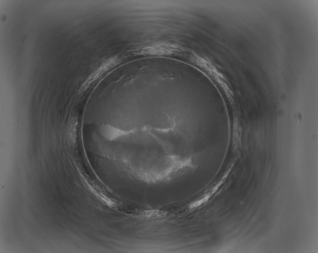 X0000087630153200705031454