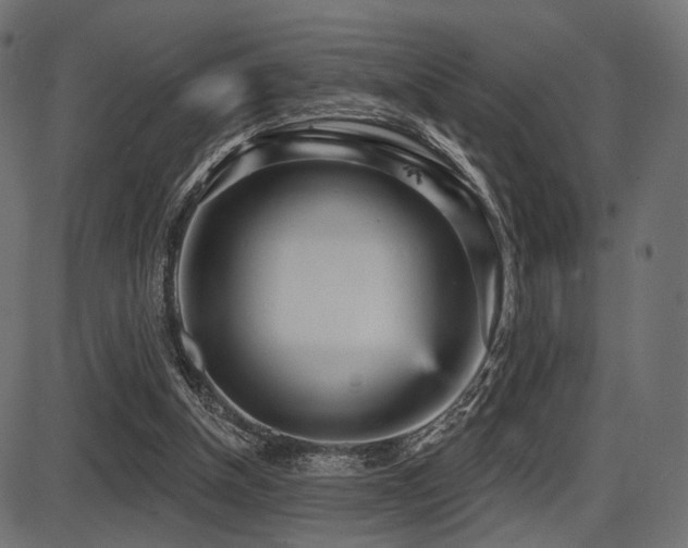 X0000087630154200705031454