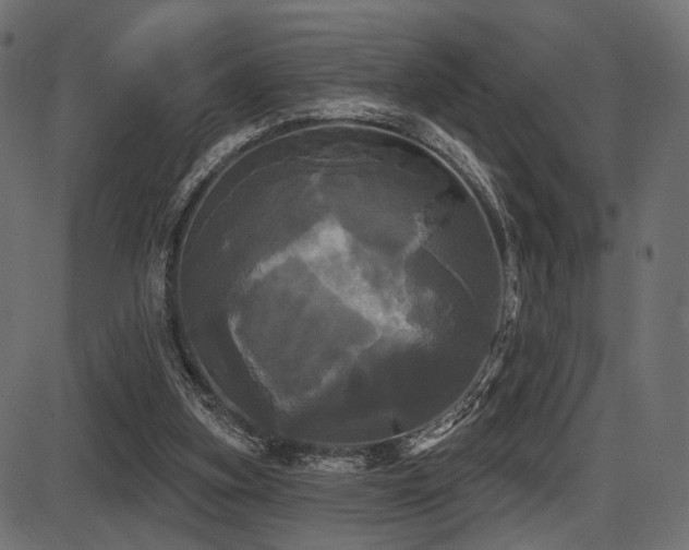 X0000087630155200705031454