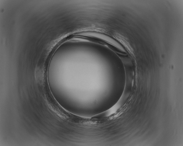 X0000087630156200705031454