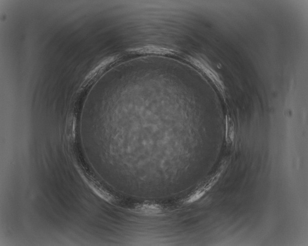 X0000087630157200705031454