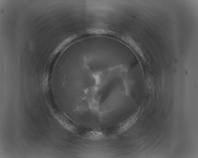 X0000087630159200705031454