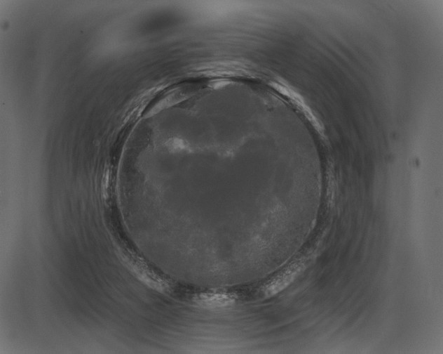 X0000087630161200705031454