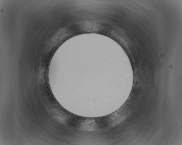 X0000087630162200705031454