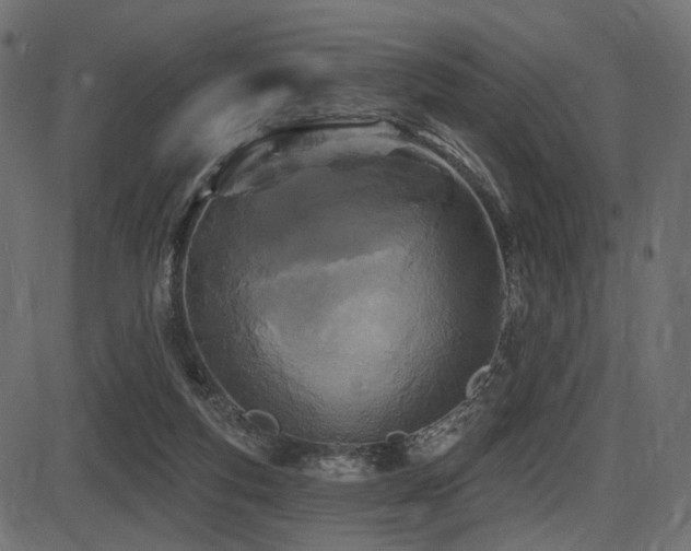 X0000087630163200705031454