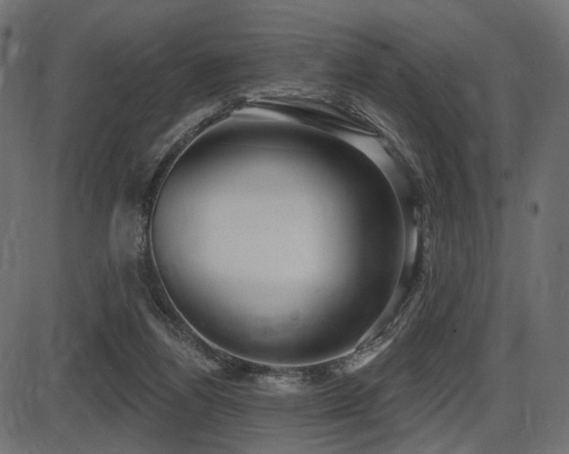 X0000087630164200705031454