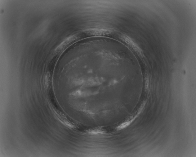 X0000087630165200705031454