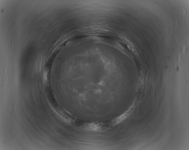 X0000087630166200705031454