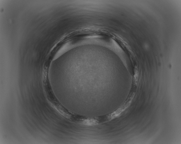 X0000087630168200705031454