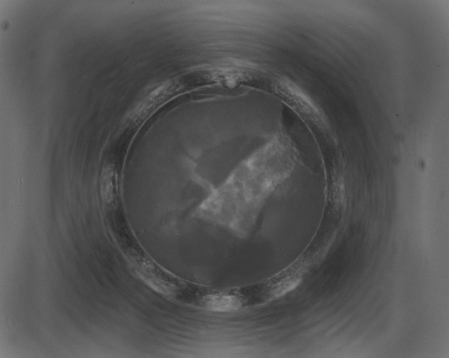 X0000087630169200705031454