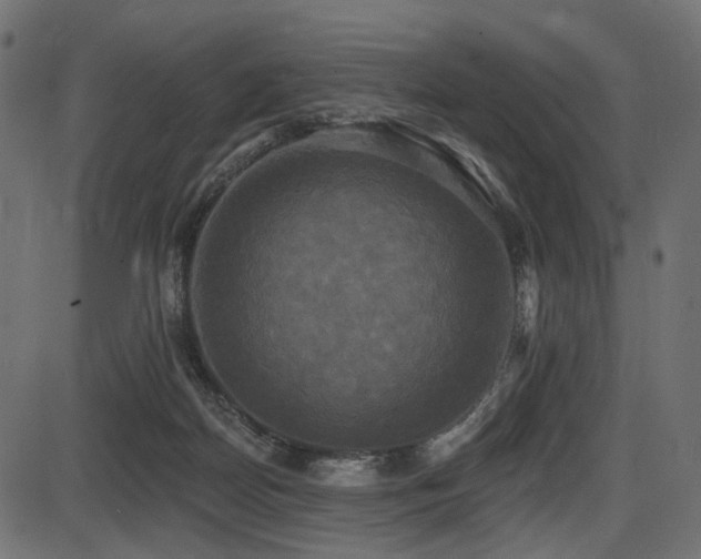 X0000087630170200705031454