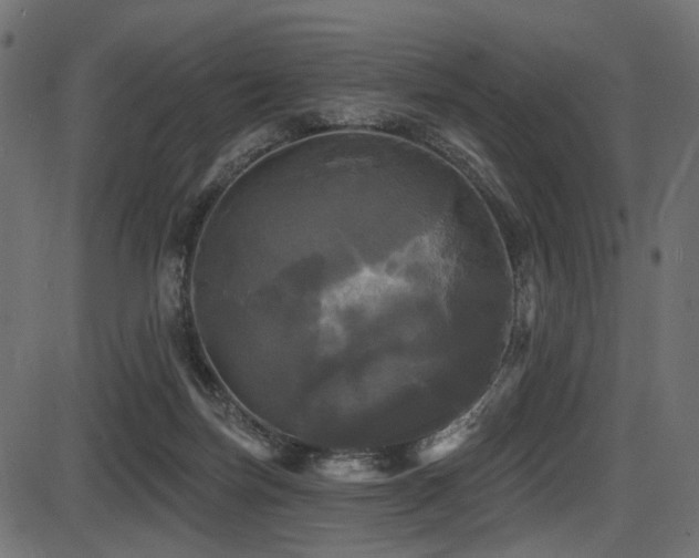 X0000087630171200705031454