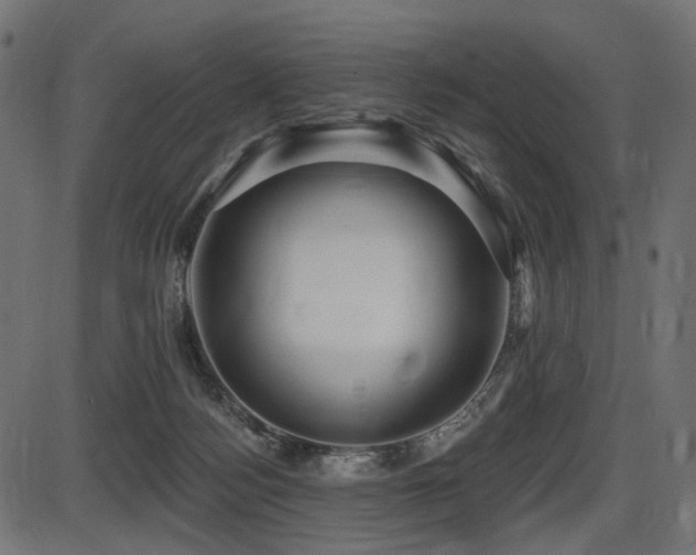 X0000087630172200705031454