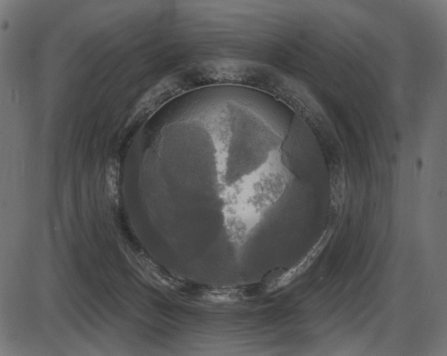 X0000087630175200705031454