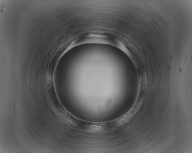 X0000087630176200705031454