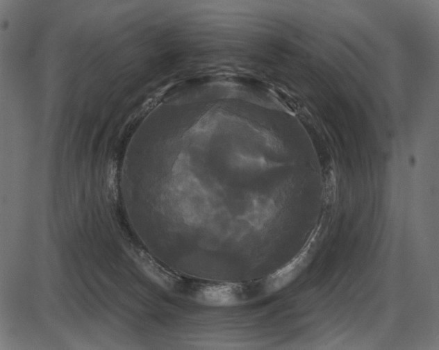 X0000087630178200705031454