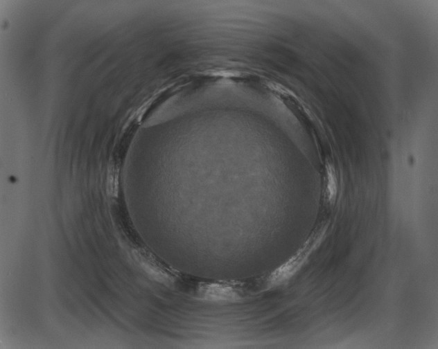 X0000087630180200705031454