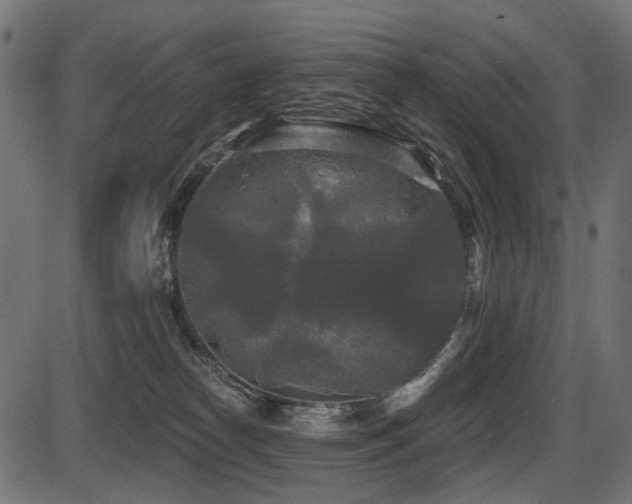 X0000087630182200705031454