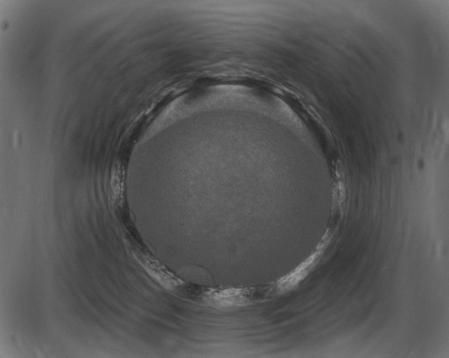 X0000087630186200705031454