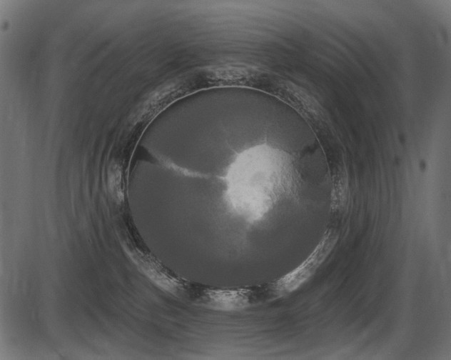 X0000087630187200705031454