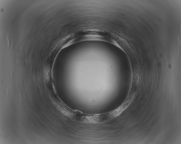 X0000087630188200705031454