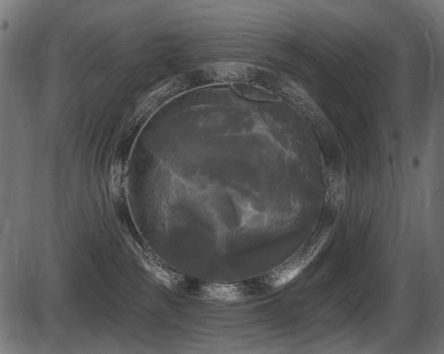 X0000087630189200705031454