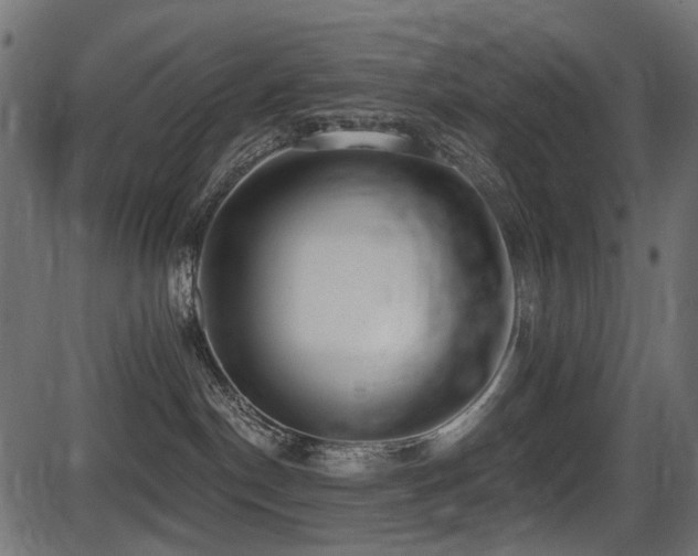 X0000087630190200705031455