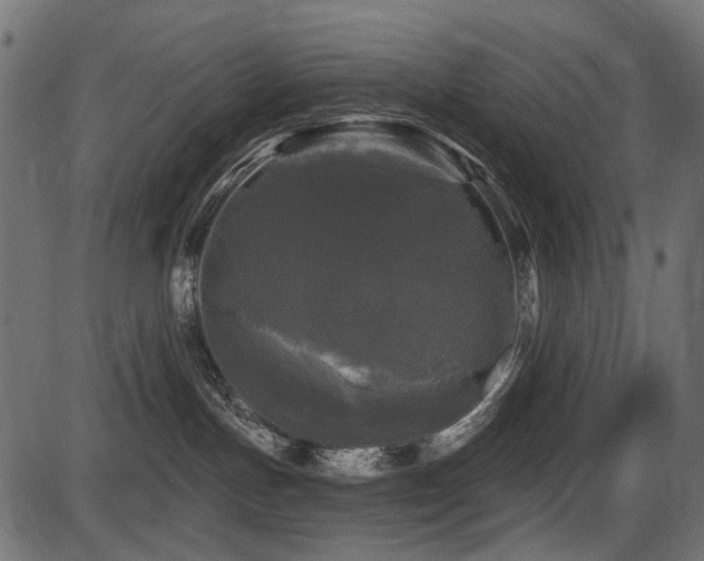 X0000087630191200705031455