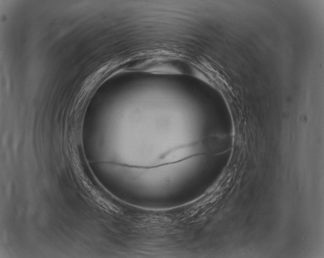 X0000087630193200705031454