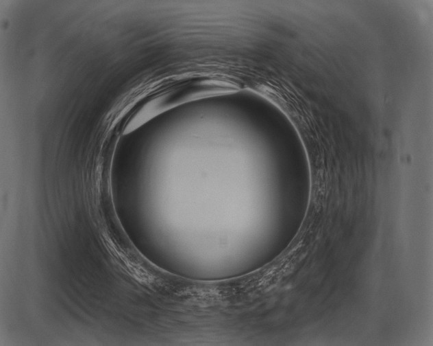 X0000087630194200705031454