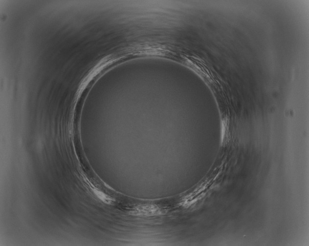 X0000087630195200705031454