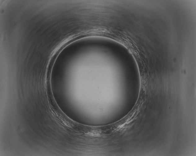 X0000087630196200705031454