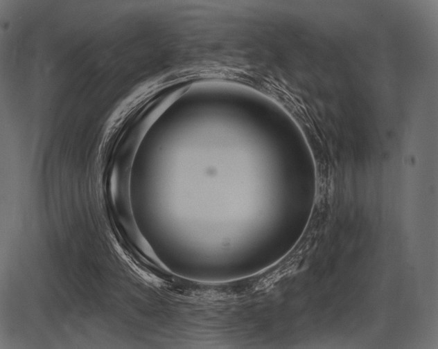 X0000087630197200705031454