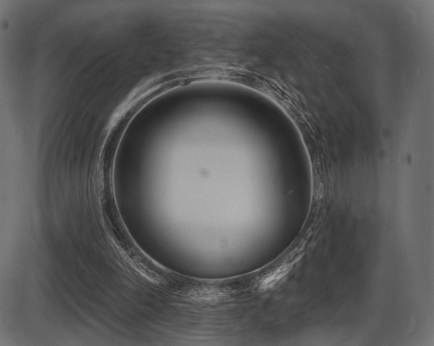 X0000087630198200705031454