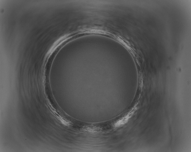 X0000087630199200705031454