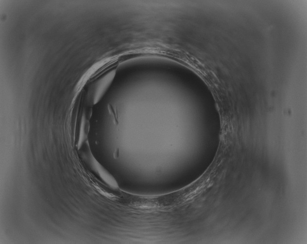 X0000087630200200705031454