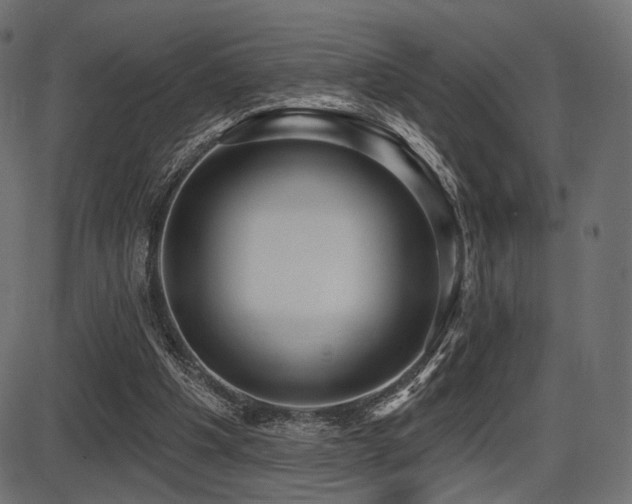 X0000087630201200705031454