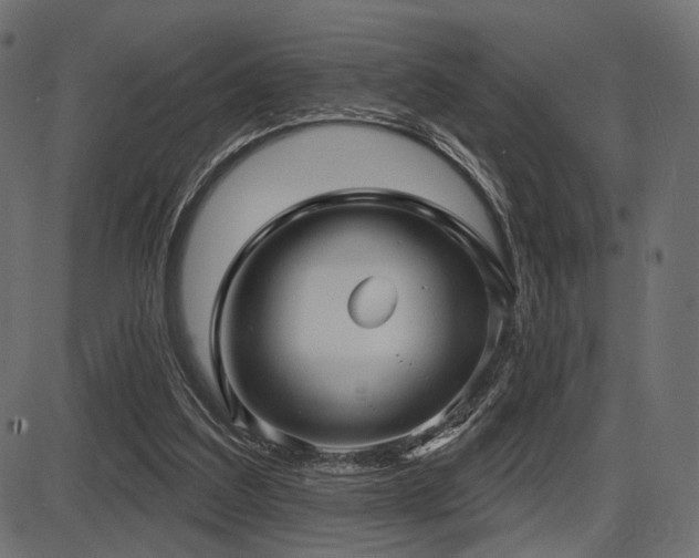 X0000087630203200705031454